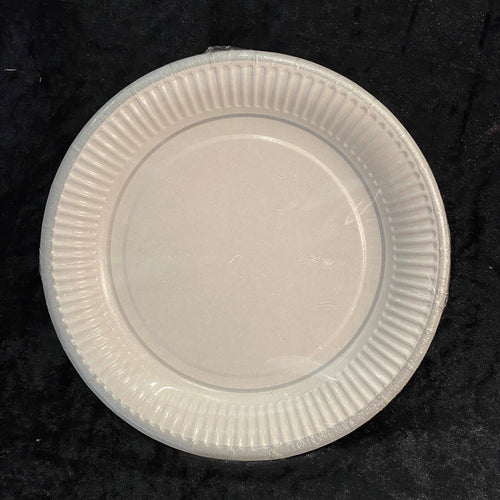 10 assiettes 23cm carton blanchse liseré argent